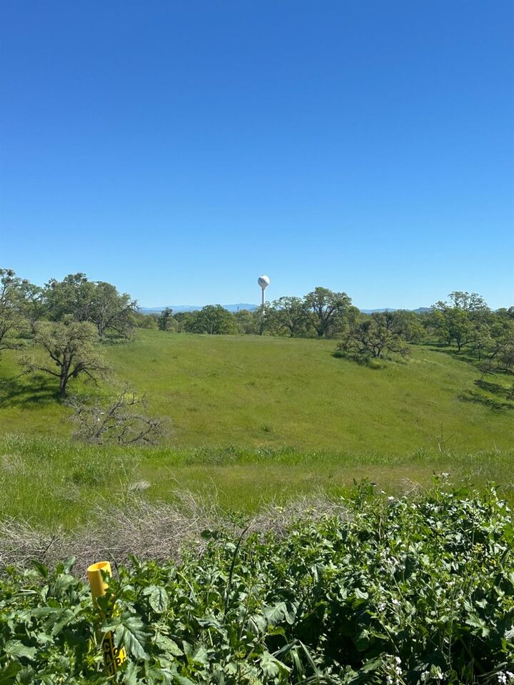 Property Photo:  49 Cormorant Drive  CA 95254 