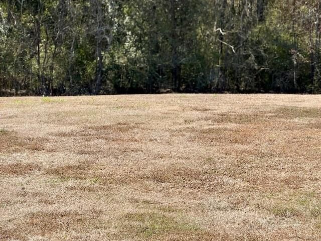 Property Photo:  532 Clifford Court  LA 70094 