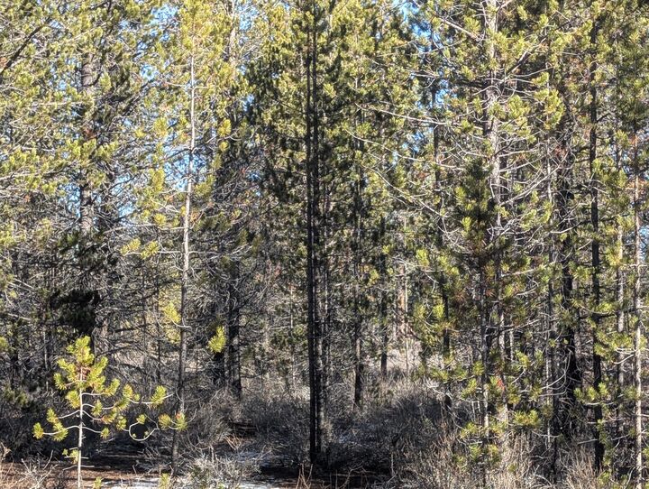 Property Photo:  Tl 211107B000108, Tl 211106C00  OR 97707 