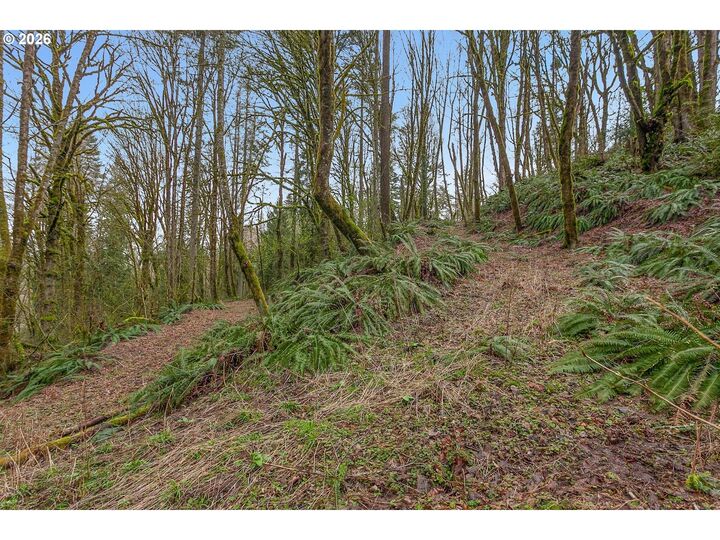 Property Photo: 0 NW Summitview Dr OR 97229