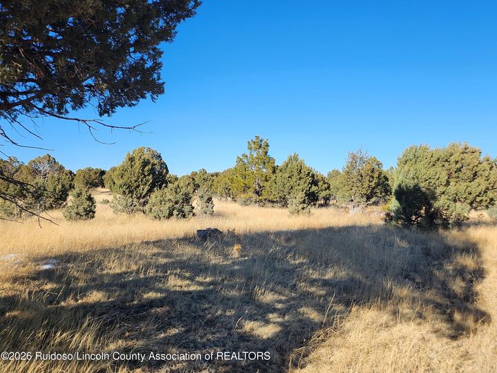 Property Photo: Tract 1&3 Linda Vista Lane NM 88312