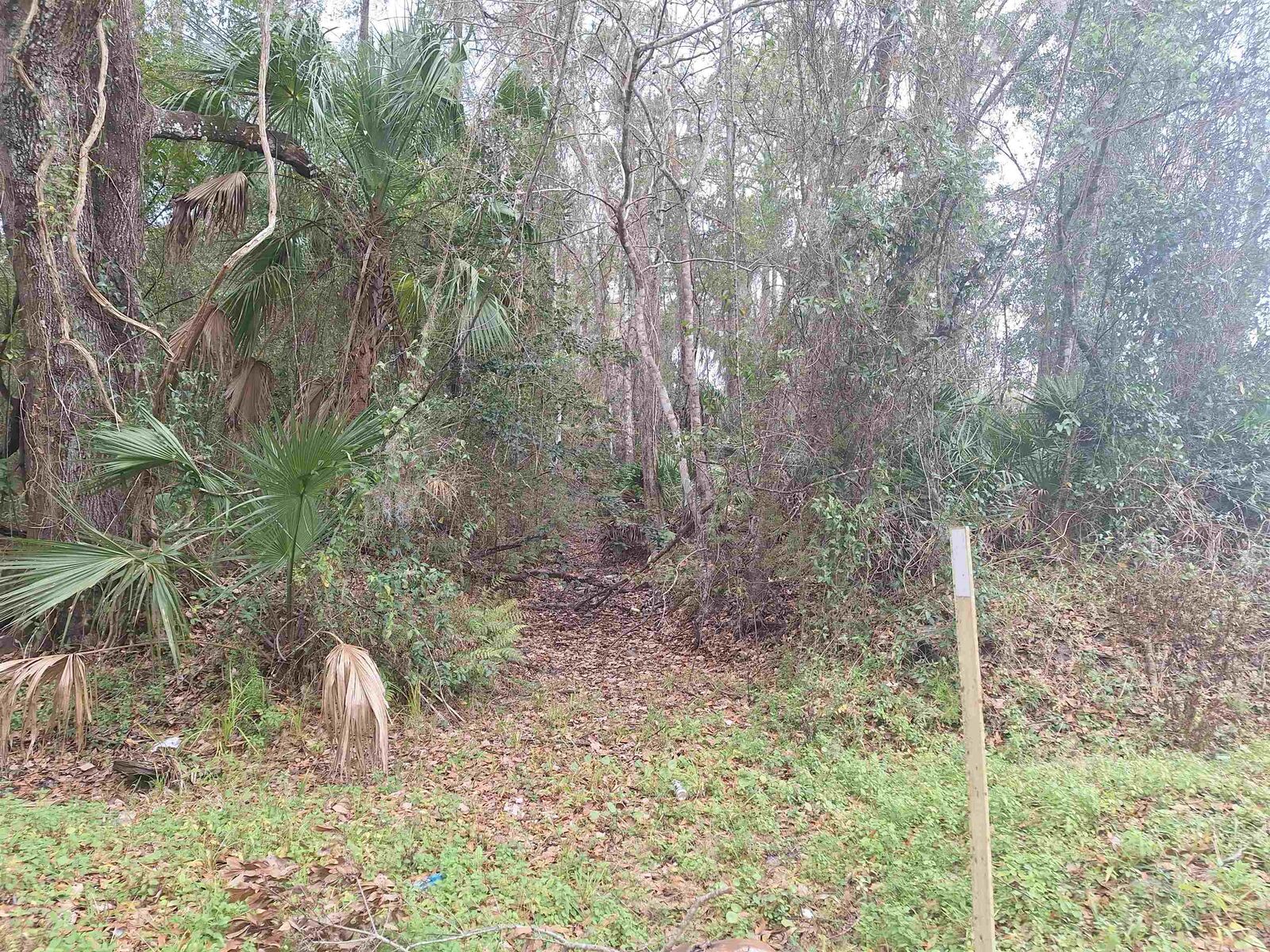 Property Photo:  115 E Harris St  FL 32177 