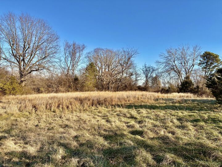 Property Photo:  000 County Road 900  MO 65761 