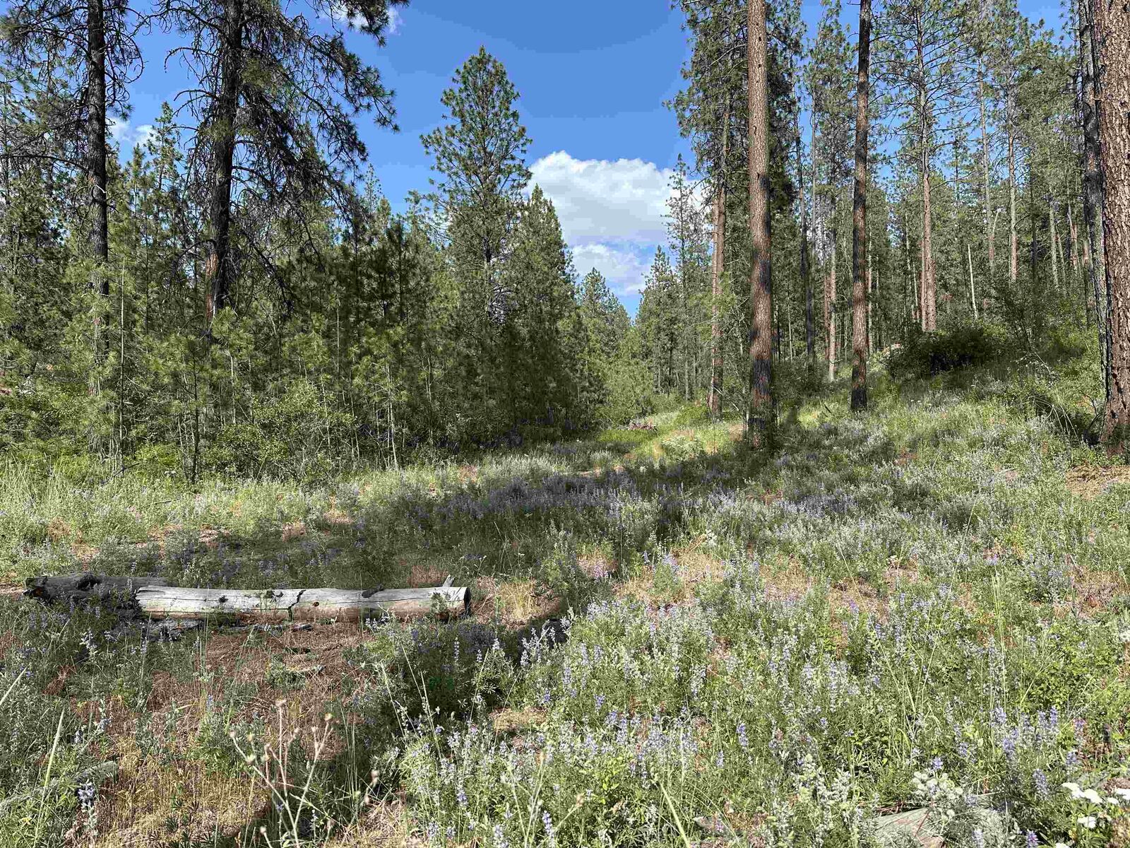 Property Photo:  Nka Lower Weaver Way Lot C  WA 99006 