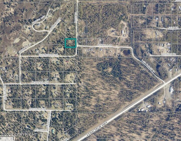 Property Photo:  L8 B1 Frost Street  AK 99635 