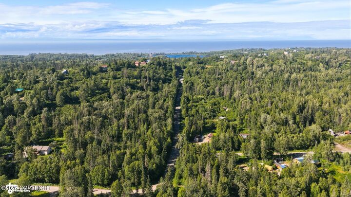 Property Photo:  L8 B1 Frost Street  AK 99635 