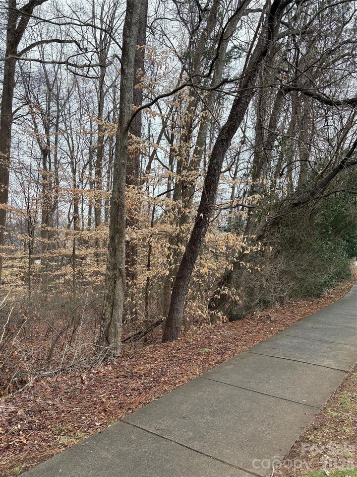 Property Photo:  1062 Elizabeth Manor Court  NC 28105 