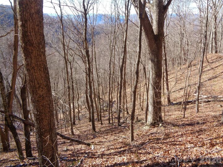 Property Photo:  00 Listening Cove 41  NC 28721 