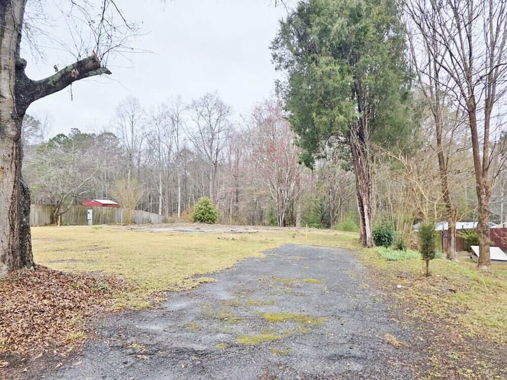 Property Photo:  324 E E. Poplar Branch Drive  SC 29461 