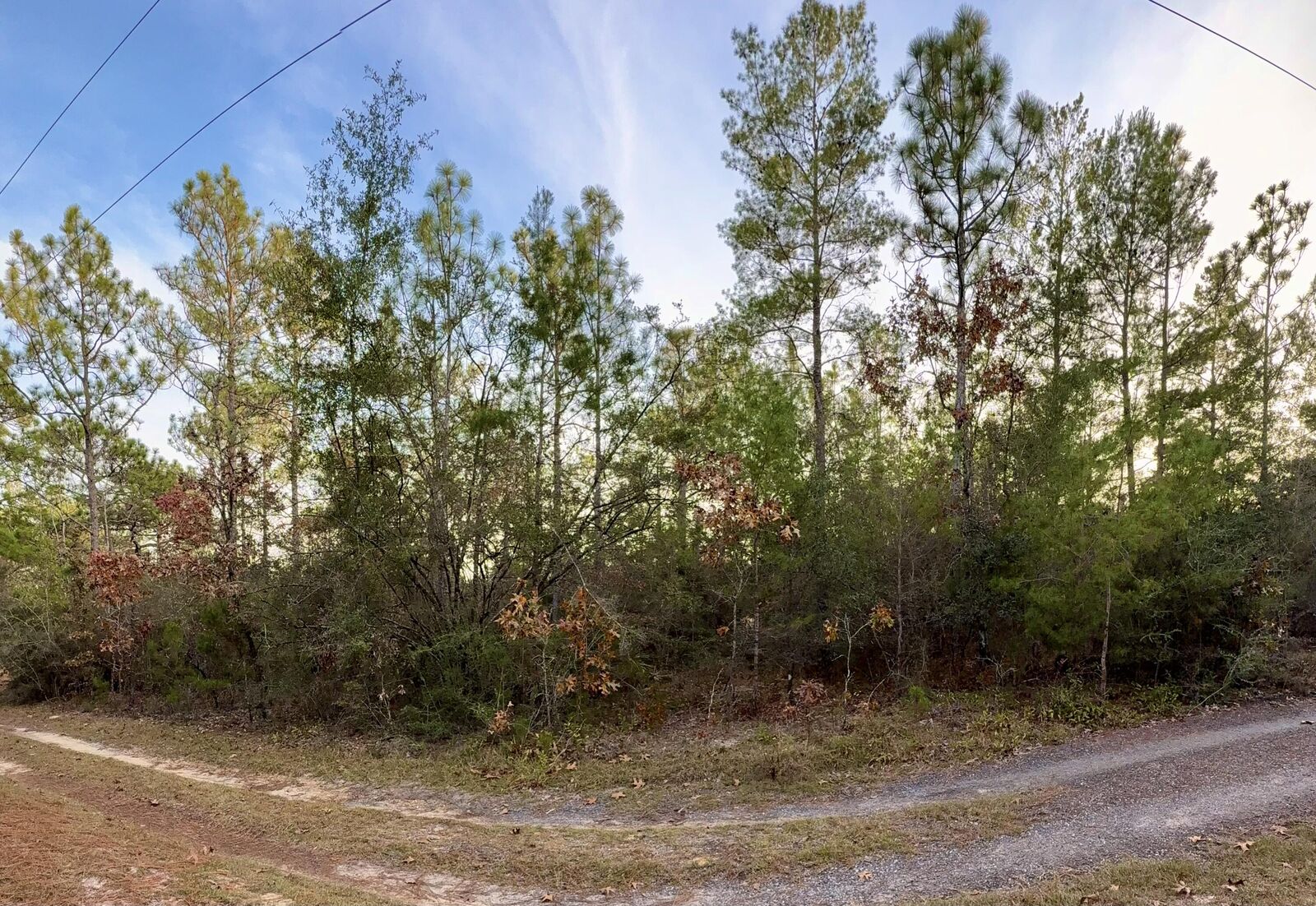 Property Photo:  Lots 9-11 Tangerine & Lot 2 Girl Scout  FL 32433 