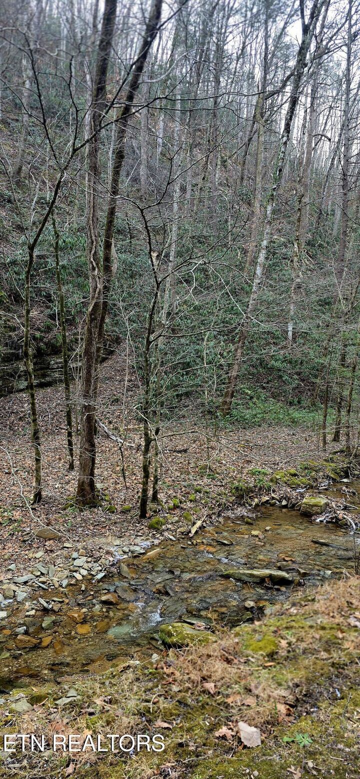 Property Photo:  N Clear Fork Rd  TN 37862 