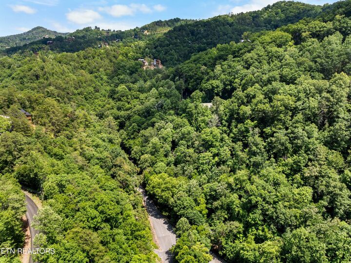 Property Photo:  N Clear Fork Rd  TN 37862 