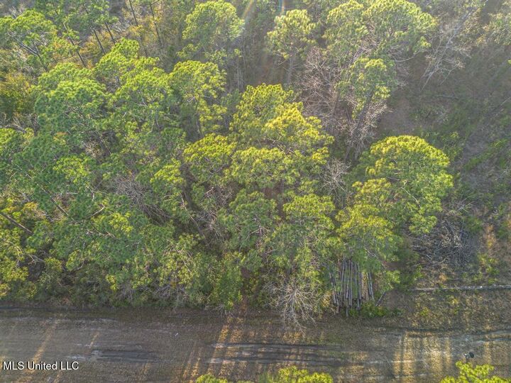 Property Photo:  0 Oak Street  MS 39564 