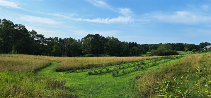 Property Photo:  Lot 3 Mountain Road  MA 01040 
