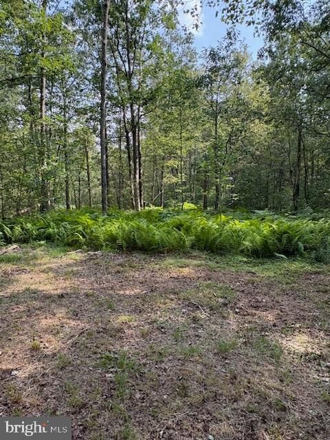 Property Photo:  186 Little Wolf Road  PA 16874 