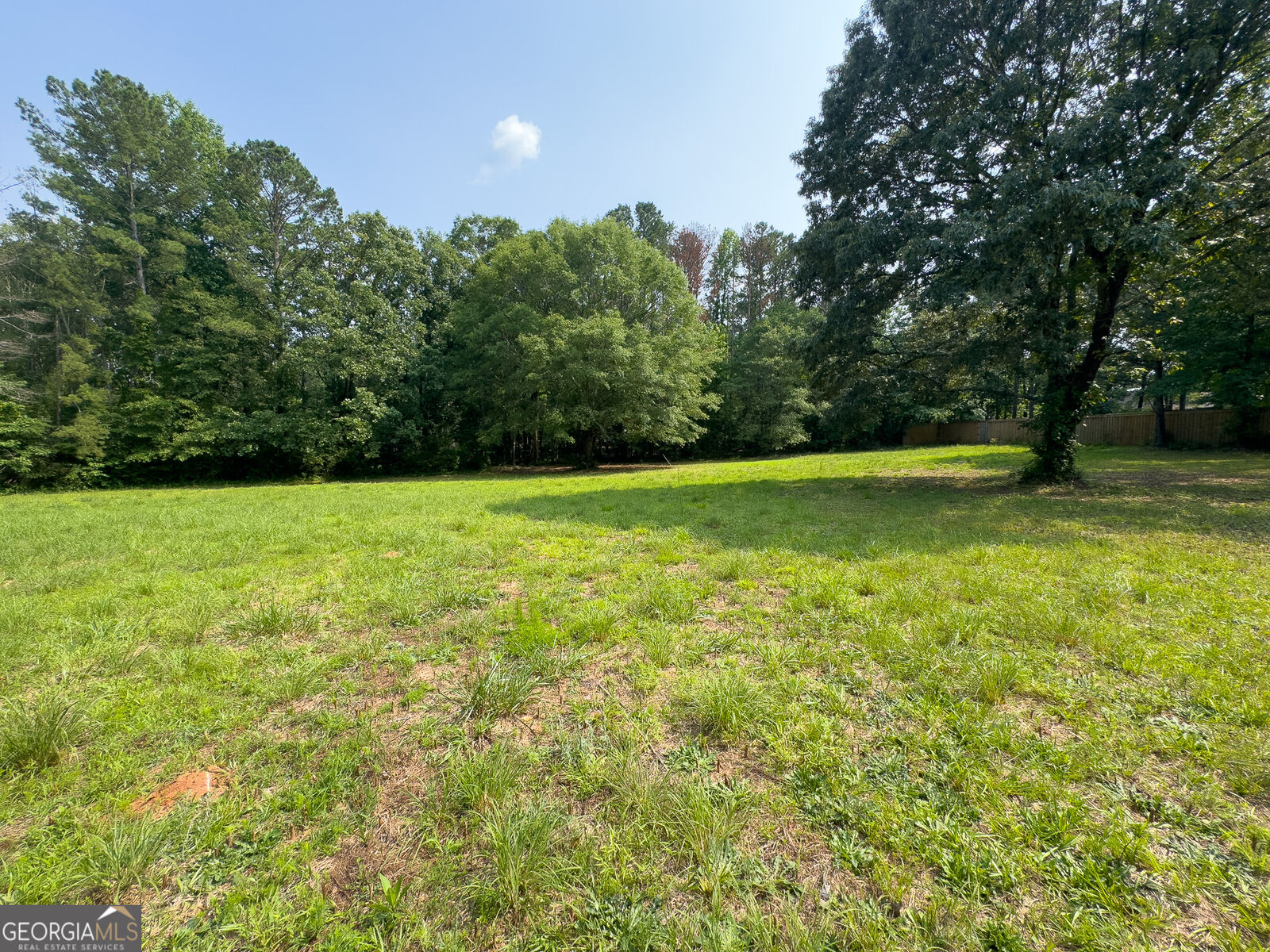 Property Photo:  0 Howard Road  GA 30276 