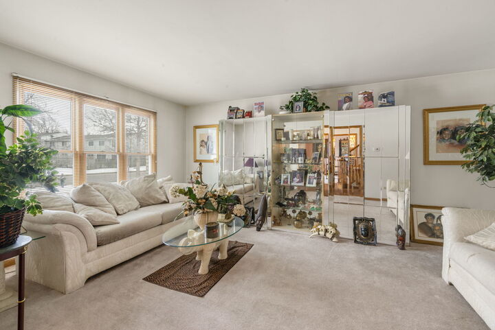 Property Photo:  156 Winston Drive  IL 60440 