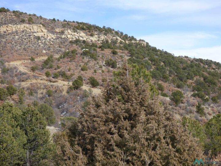 Property Photo:  450 Francis Ave. Avenue  NM 87740-450 