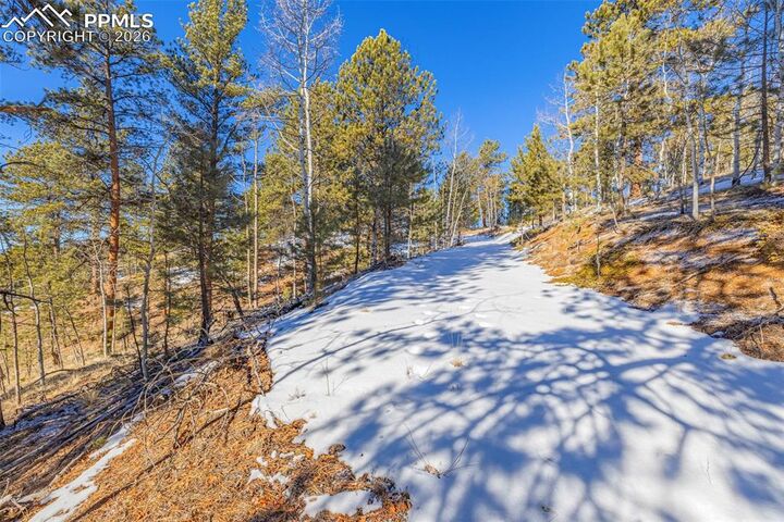 Property Photo:  772 E Bison Creek Trail  CO 80816 