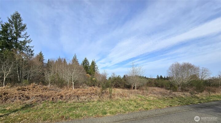 Property Photo:  0  Garden Hill Road E  WA 98541 