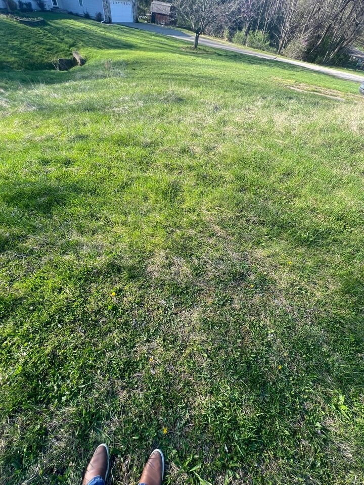 Property Photo:  621 S 2nd Street  OH 43055 