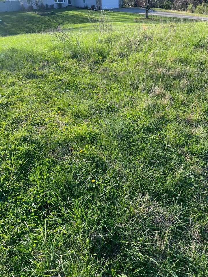 Property Photo: 621 S 2nd Street OH 43055