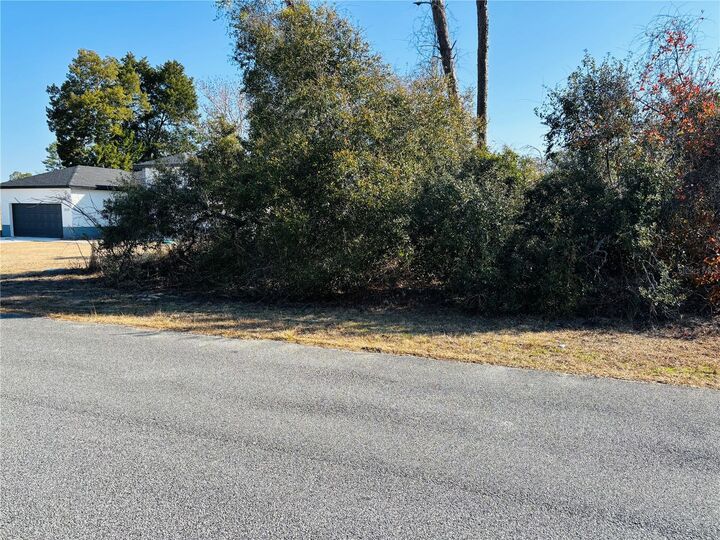 Property Photo:  0 SW 153rd Place Road 3  FL 34473 