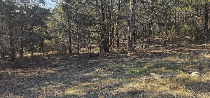 Property Photo:  E Mockingbird Trail  AR 72630 