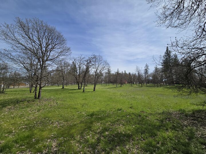 Property Photo:  Echo Way Tax Lot 902  OR 97524 