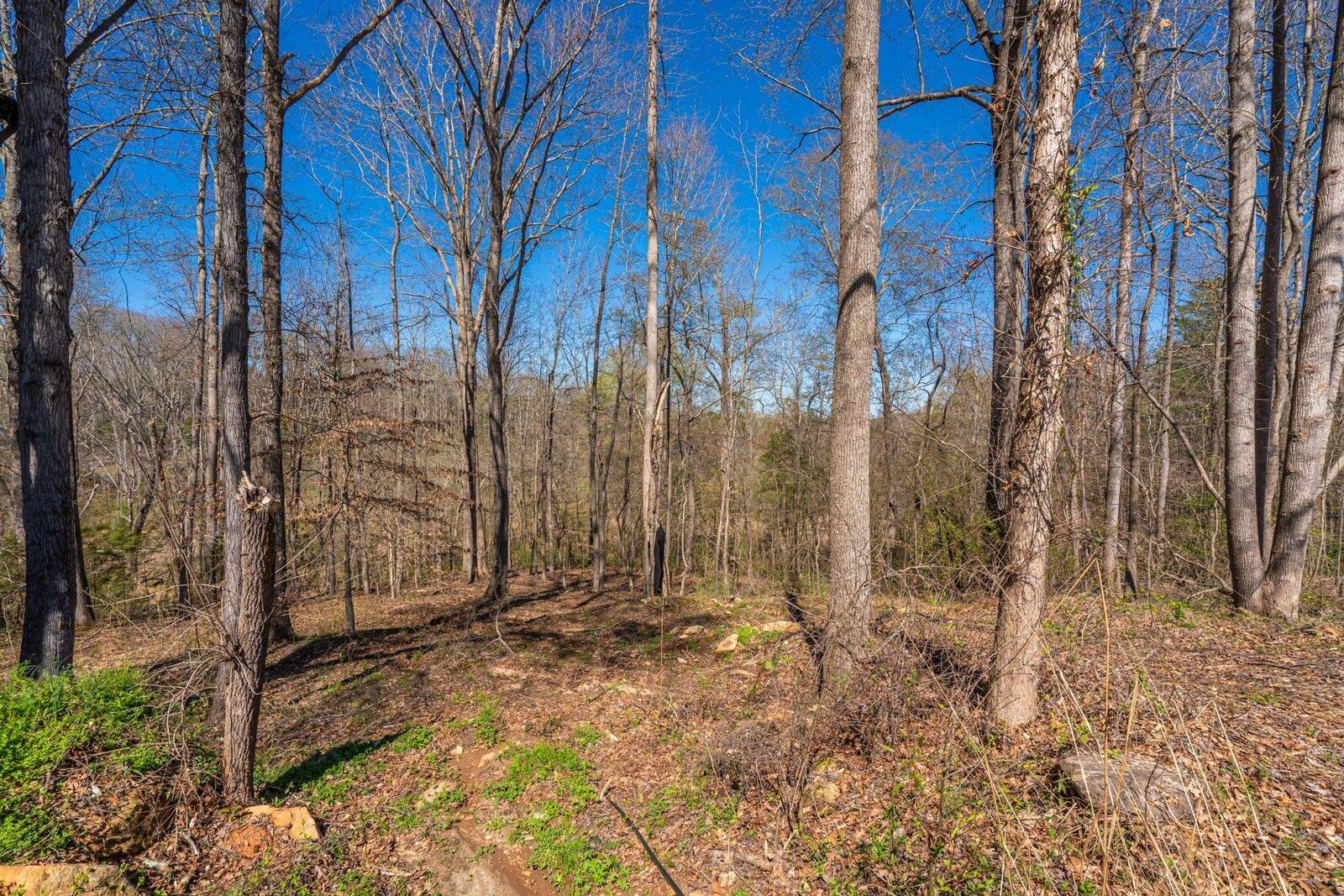 Property Photo:  5 Bagwell Place ***  SC 29302 