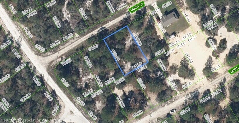 Property Photo:  405 Tahiti Court  FL 33852 