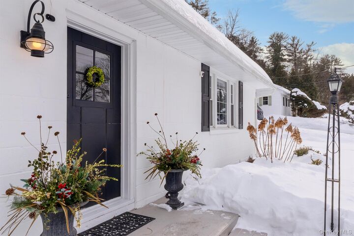 Property Photo:  323 Hillside Avenue  NY 12443 