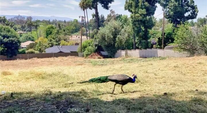 Property Photo:  20528 E Rancho Los Cerritos  CA 91724 