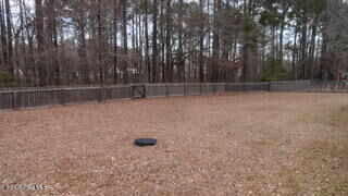 Property Photo: 113 Farina Drive NC 28532