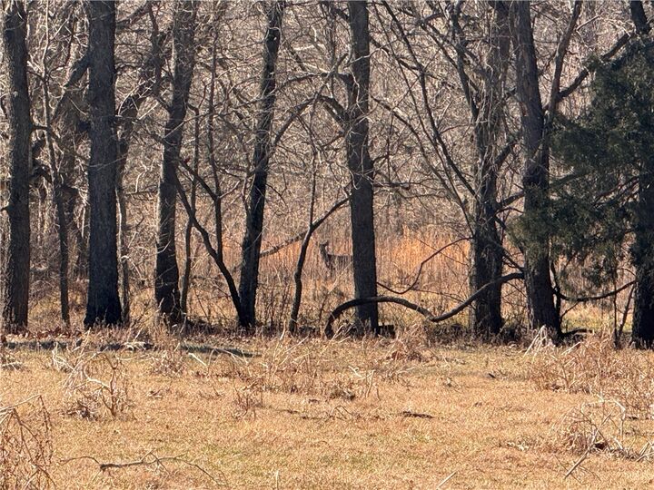 Property Photo:  Tract 4 Madison 1490 Street  AR 72740 