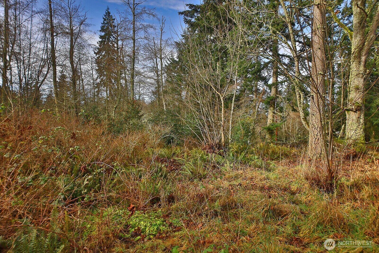 Property Photo:  0  Goss Lake Road  WA 98249 