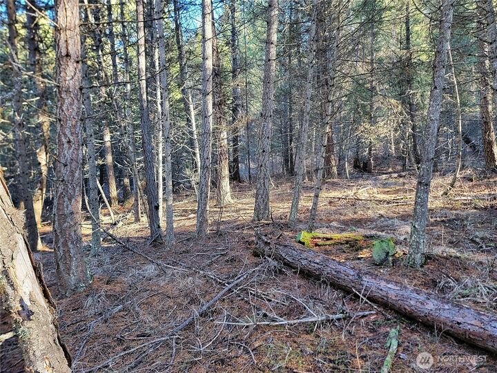 Property Photo: 9999 Tbd Lundimo Meadows Road WA 99118