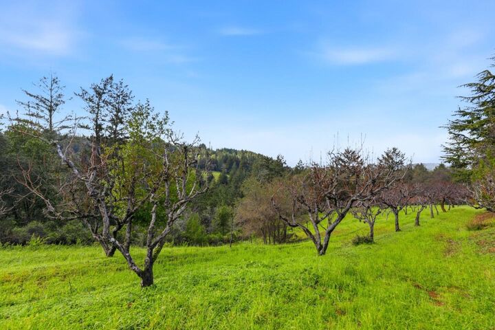 Property Photo:  24733 Loma Prieta Avenue  CA 95033 