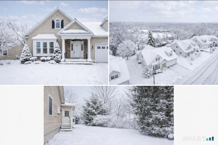 Property Photo:  9 Dogwood Court 9  CT 06067 