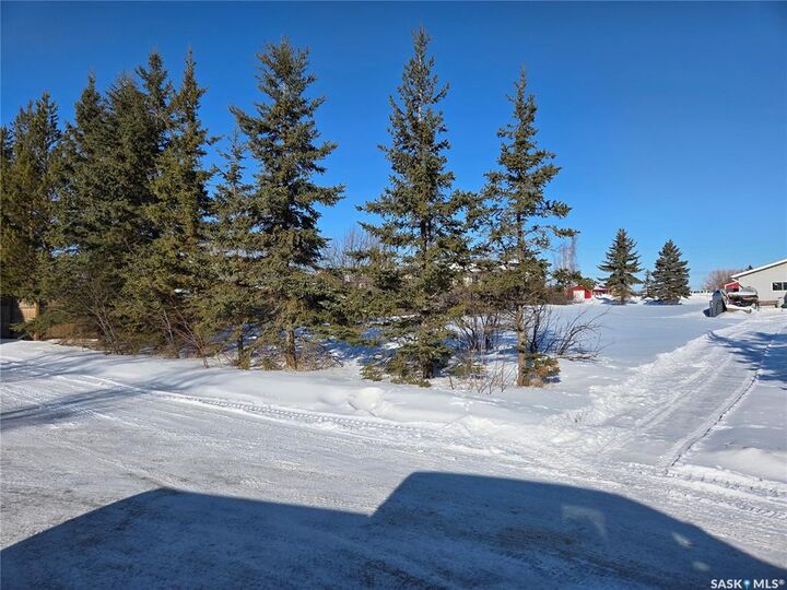 Property Photo:  1022 111th Avenue E  SK S0E 1T0 