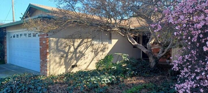 Property Photo:  249 W Paradise Avenue  CA 93277 