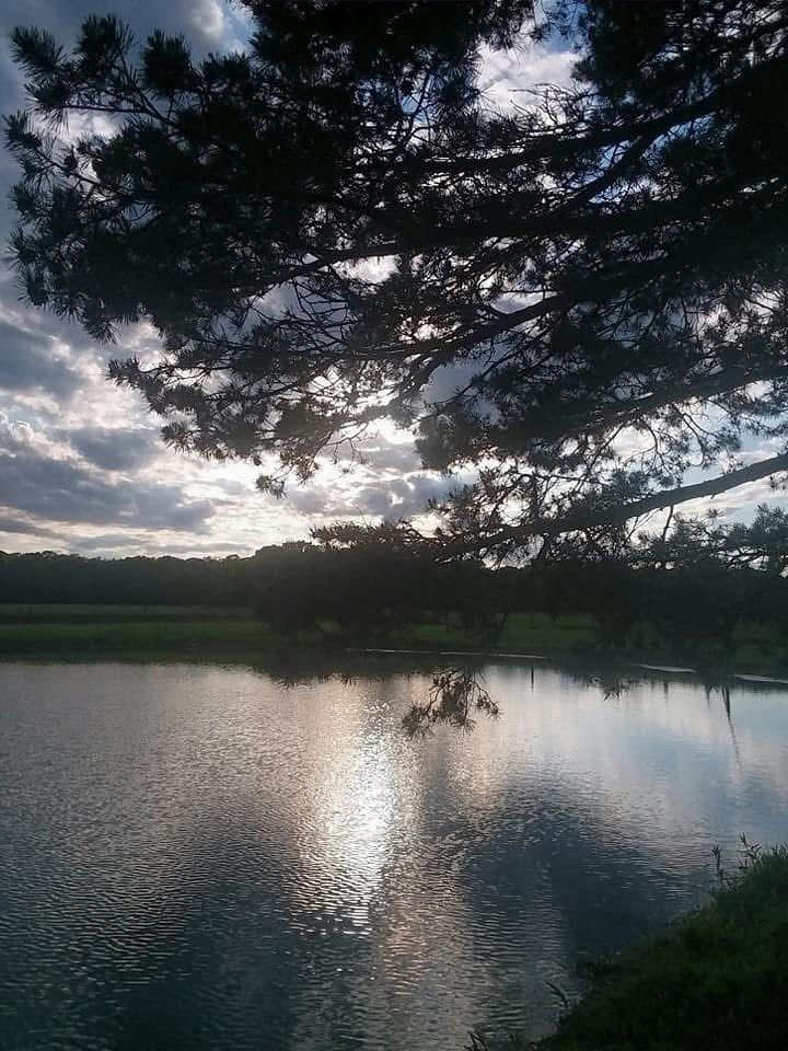 Property Photo:  Firestone Rd  OH 44235 