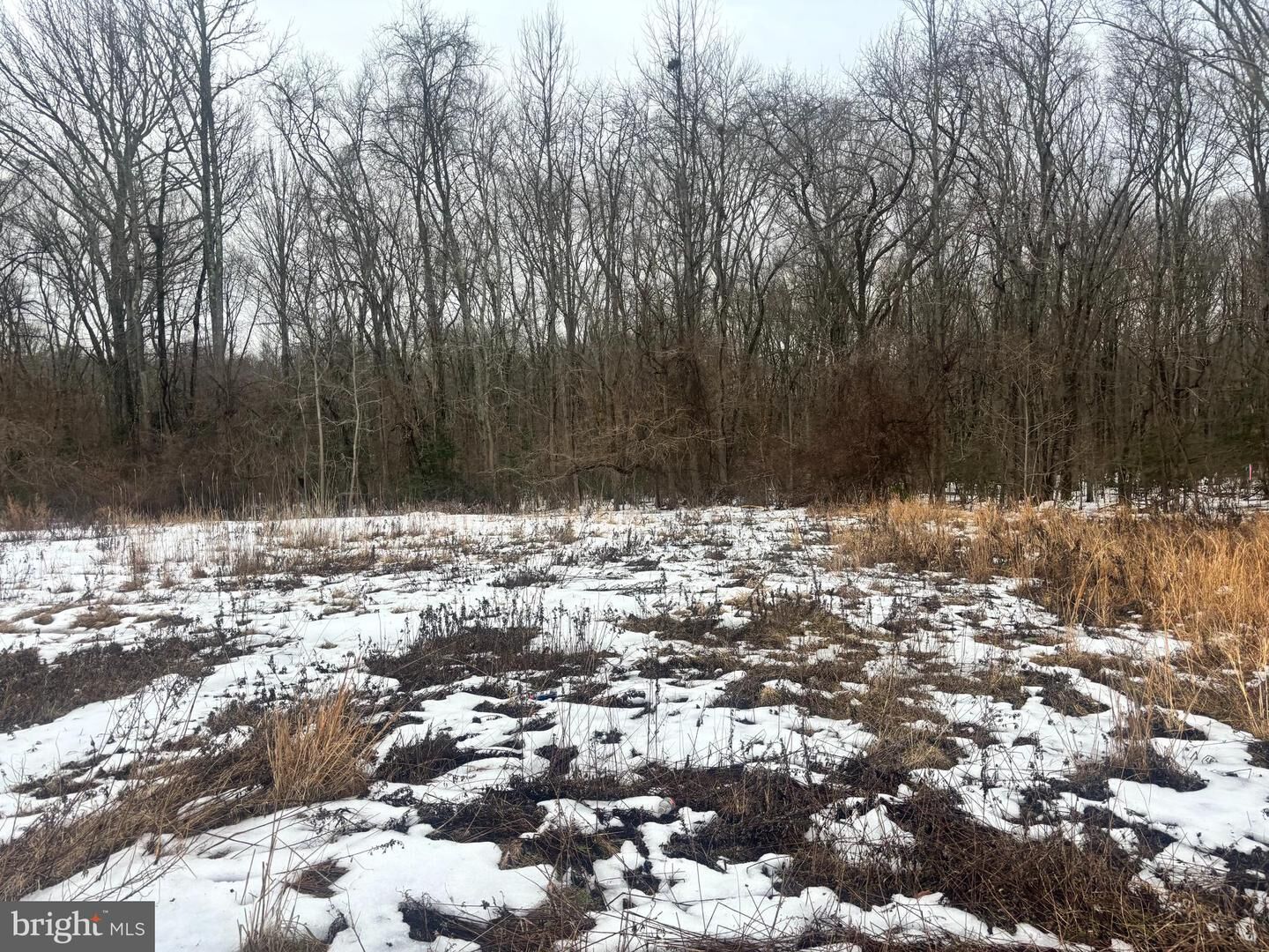 Property Photo:  605 S Academy Street  NJ 08028 