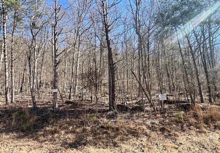 Property Photo:  0 Battleline Drive  GA 30740 