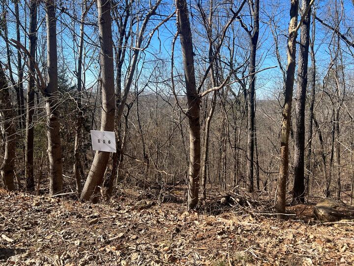 Property Photo:  0 Battleline Drive  GA 30740 