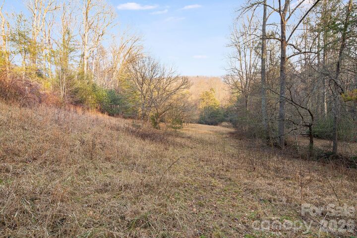 Property Photo:  0000 Red Eft Way  NC 28742 