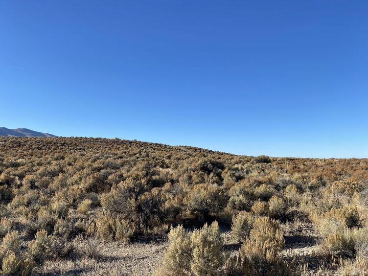 Property Photo:  024-009-002 White River Boulevard  NV 89801 