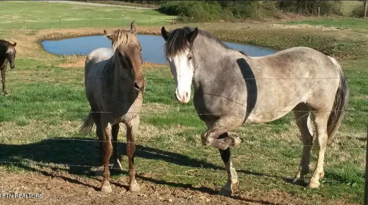 Property Photo:  840 Jordan Rd  TN 37322 