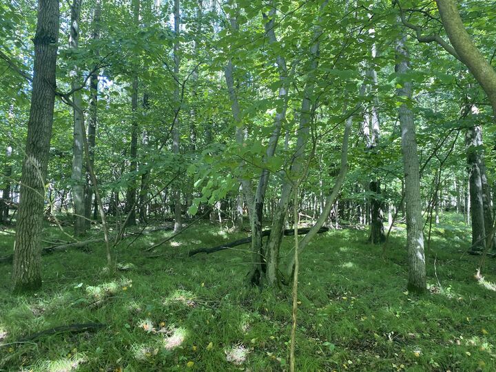 Property Photo: 12100 Belle Isle Drive MI 49346