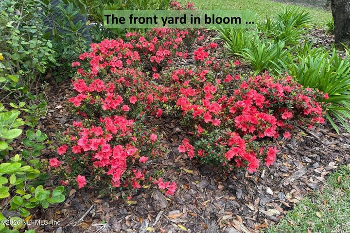 Property Photo:  96018 Woodmere Way  FL 32034 